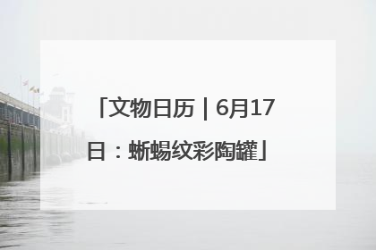 文物日历｜6月17日：蜥蜴纹彩陶罐