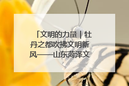 文明的力量｜牡丹之都吹拂文明新风——山东菏泽文明创建一线见闻