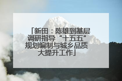 新田：陈雄到基层调研指导“十五五”规划编制与城乡品质大提升工作
