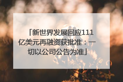 新世界发展回应111亿美元再融资获批准：一切以公司公告为准