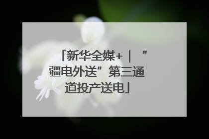 新华全媒+｜“疆电外送”第三通道投产送电