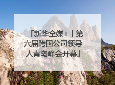 新华全媒+丨第六届跨国公司领导人青岛峰会开幕