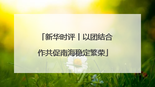 新华时评丨以团结合作共促南海稳定繁荣