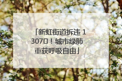 新虹街道拆违 1307㎡！城市绿肺重获呼吸自由