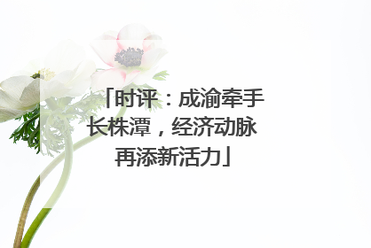 时评：成渝牵手长株潭，经济动脉再添新活力