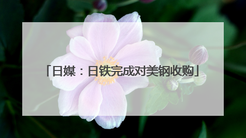 日媒：日铁完成对美钢收购