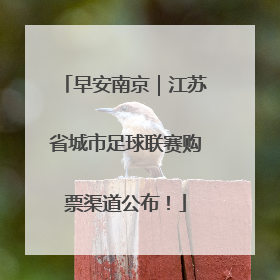 早安南京｜江苏省城市足球联赛购票渠道公布！