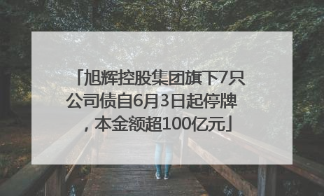 旭辉控股集团旗下7只公司债自6月3日起停牌，本金额超100亿元