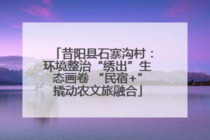 昔阳县石寨沟村：环境整治“绣出”生态画卷 “民宿+”撬动农文旅融合