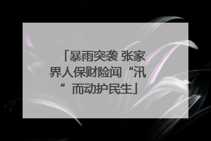 暴雨突袭 张家界人保财险闻“汛”而动护民生