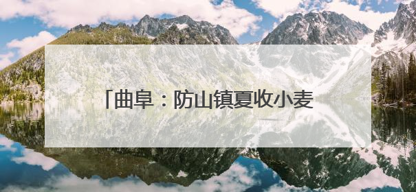 曲阜：防山镇夏收小麦实现烘干“不过夜”