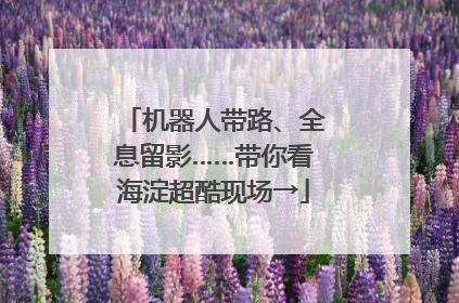 机器人带路、全息留影……带你看海淀超酷现场→
