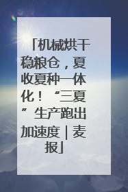 机械烘干稳粮仓，夏收夏种一体化！“三夏”生产跑出加速度｜麦报