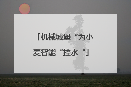 机械城堡“为小麦智能“控水“