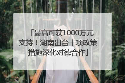 最高可获1000万元支持！湖南出台十项政策措施深化对德合作