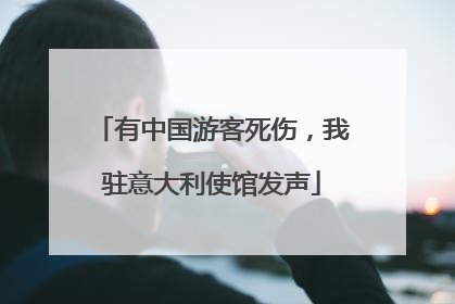有中国游客死伤，我驻意大利使馆发声