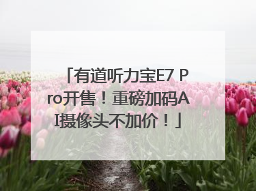 有道听力宝E7 Pro开售！重磅加码AI摄像头不加价！
