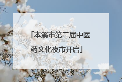 本溪市第二届中医药文化夜市开启