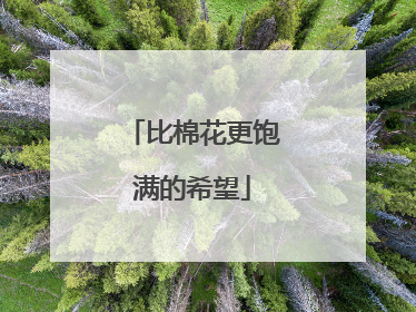 比棉花更饱满的希望