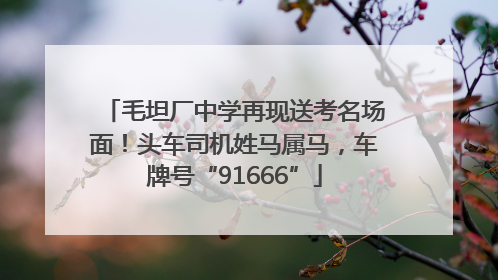 毛坦厂中学再现送考名场面！头车司机姓马属马，车牌号“91666”