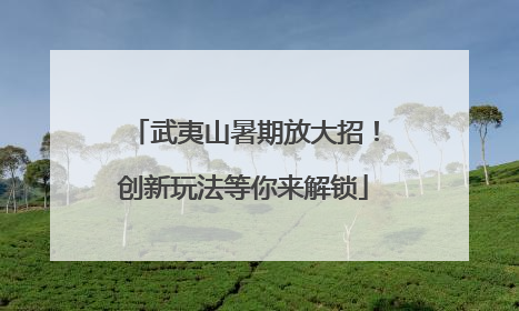 武夷山暑期放大招！创新玩法等你来解锁