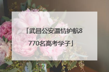 武昌公安温情护航8770名高考学子