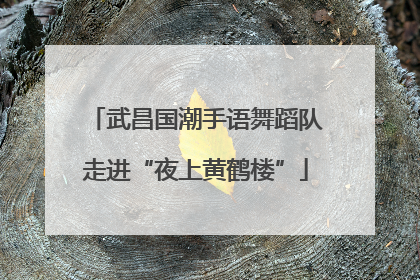 武昌国潮手语舞蹈队走进“夜上黄鹤楼”