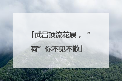 武昌顶流花展，“荷”你不见不散