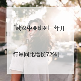 武汉中亚班列一年开行量同比增长72%