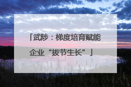 武陟：梯度培育赋能企业“拔节生长”