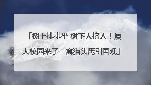 树上排排坐 树下人挤人！厦大校园来了一窝猫头鹰引围观