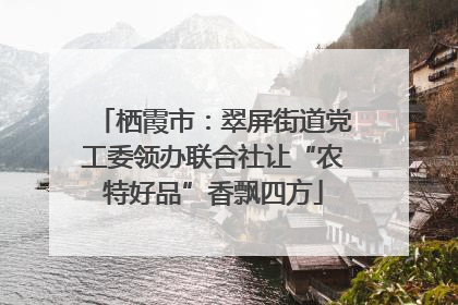 栖霞市：翠屏街道党工委领办联合社让“农特好品”香飘四方