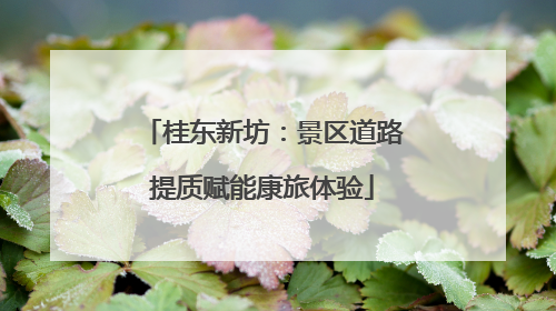 桂东新坊：景区道路提质赋能康旅体验