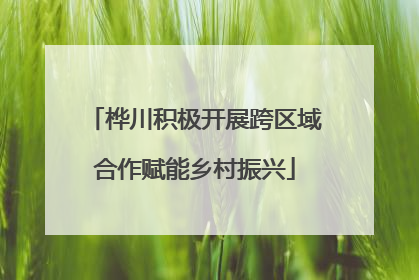 桦川积极开展跨区域合作赋能乡村振兴