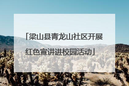 梁山县青龙山社区开展红色宣讲进校园活动
