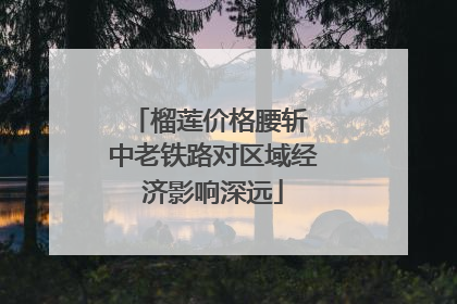 榴莲价格腰斩 中老铁路对区域经济影响深远