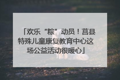 欢乐“粽”动员！莒县特殊儿童康复教育中心这场公益活动很暖心
