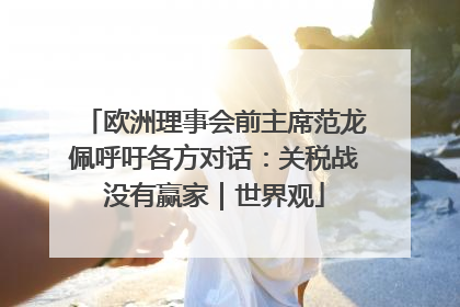 欧洲理事会前主席范龙佩呼吁各方对话：关税战没有赢家｜世界观