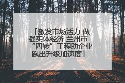 激发市场活力 做强实体经济 兰州市“四转”工程助企业跑出升级加速度
