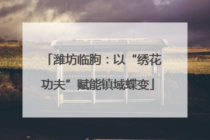 潍坊临朐：以“绣花功夫”赋能镇域蝶变