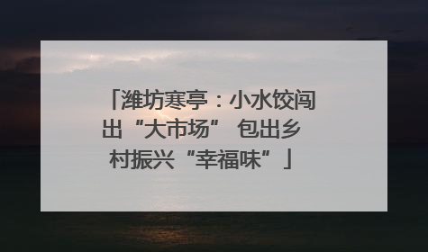潍坊寒亭：小水饺闯出“大市场” 包出乡村振兴“幸福味”