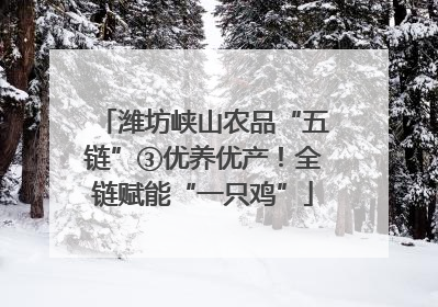 潍坊峡山农品“五链”③优养优产！全链赋能“一只鸡”
