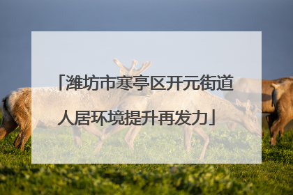 潍坊市寒亭区开元街道人居环境提升再发力