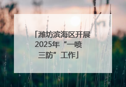 潍坊滨海区开展2025年“一喷三防”工作