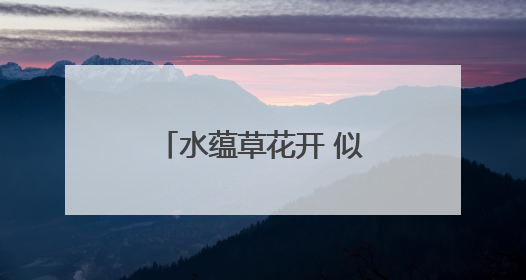 水蕴草花开 似繁星满天｜图集
