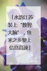 水韵江苏装上“数智大脑”，鱼米之乡驶上信息高速