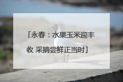 永春：水果玉米迎丰收 采摘尝鲜正当时