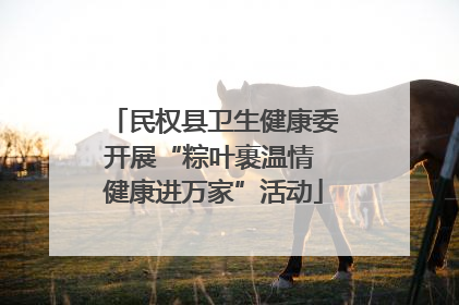 民权县卫生健康委开展“粽叶裹温情 健康进万家”活动