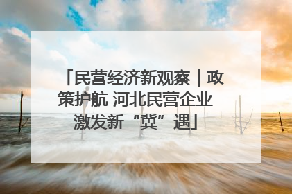 民营经济新观察｜政策护航 河北民营企业激发新“冀”遇