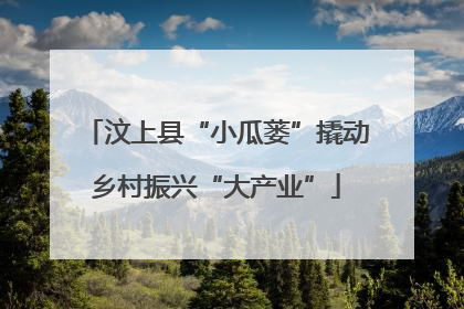 汶上县“小瓜蒌”撬动乡村振兴“大产业”